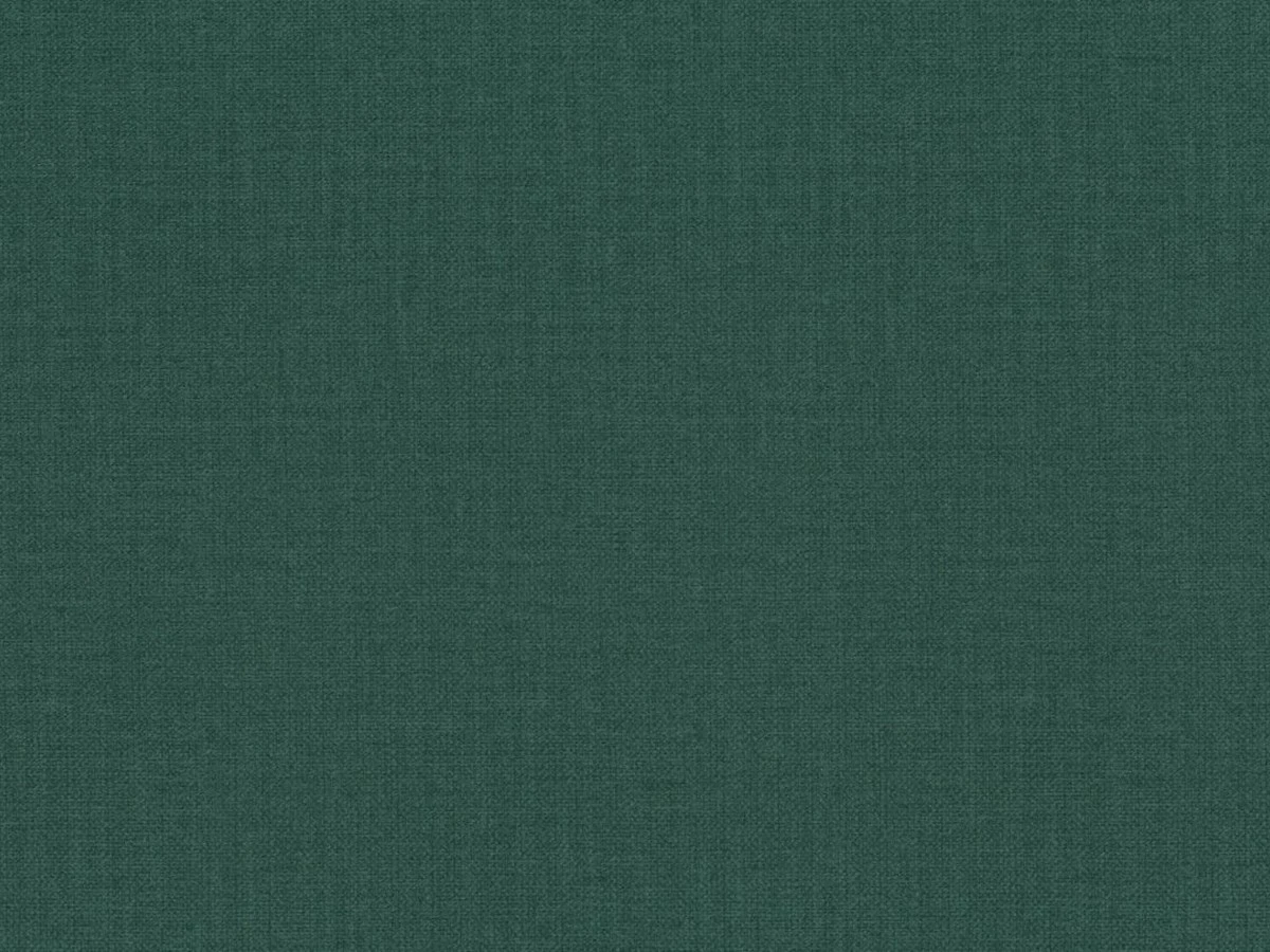 Fancy (Фенси) 36 Зеленый 