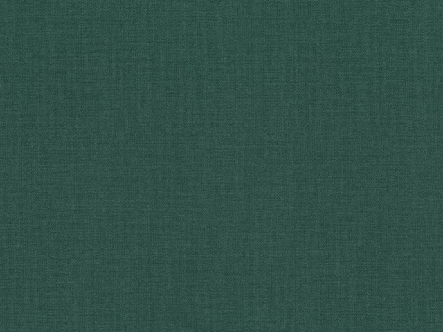 Fancy (Фенси) 36 Зеленый 