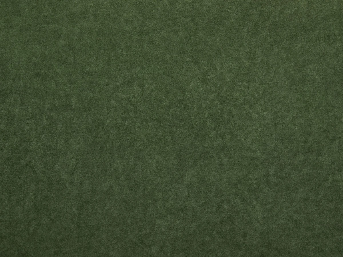 Omega (Омега) 37 Зелений 