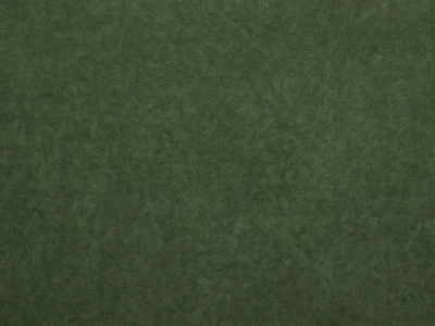 Omega (Омега) 37 Зелений