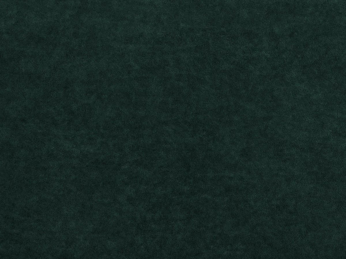 Omega (Омега) 40 Темно-зелений 