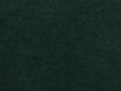 Omega (Омега) 40 Темно-зелений