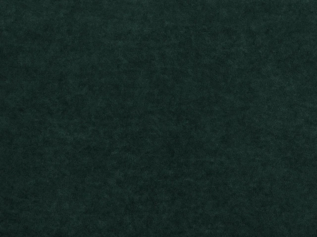 Omega (Омега) 40 Темно-зелений 