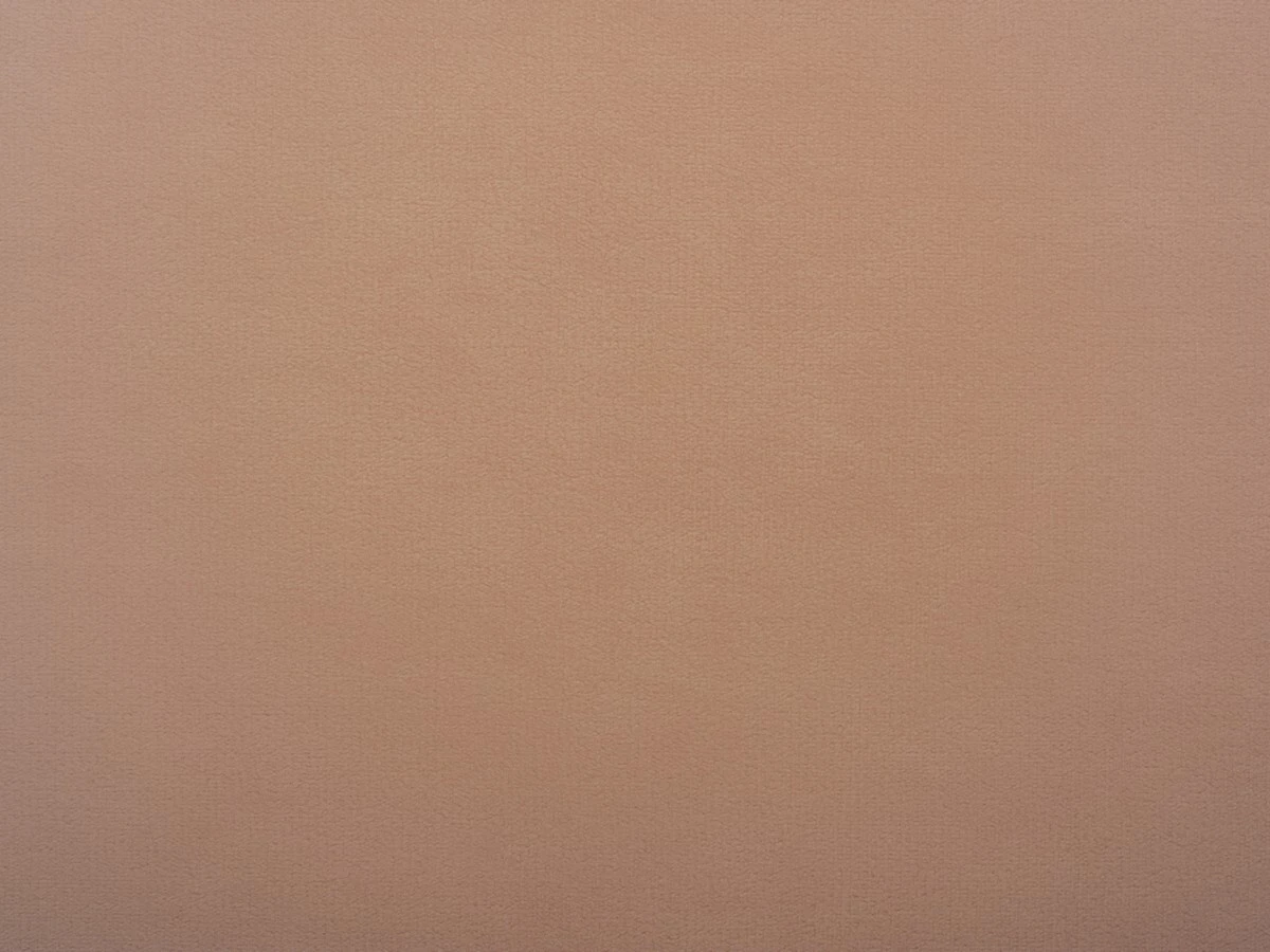 Lili (Лілі) 61 Пудровий 