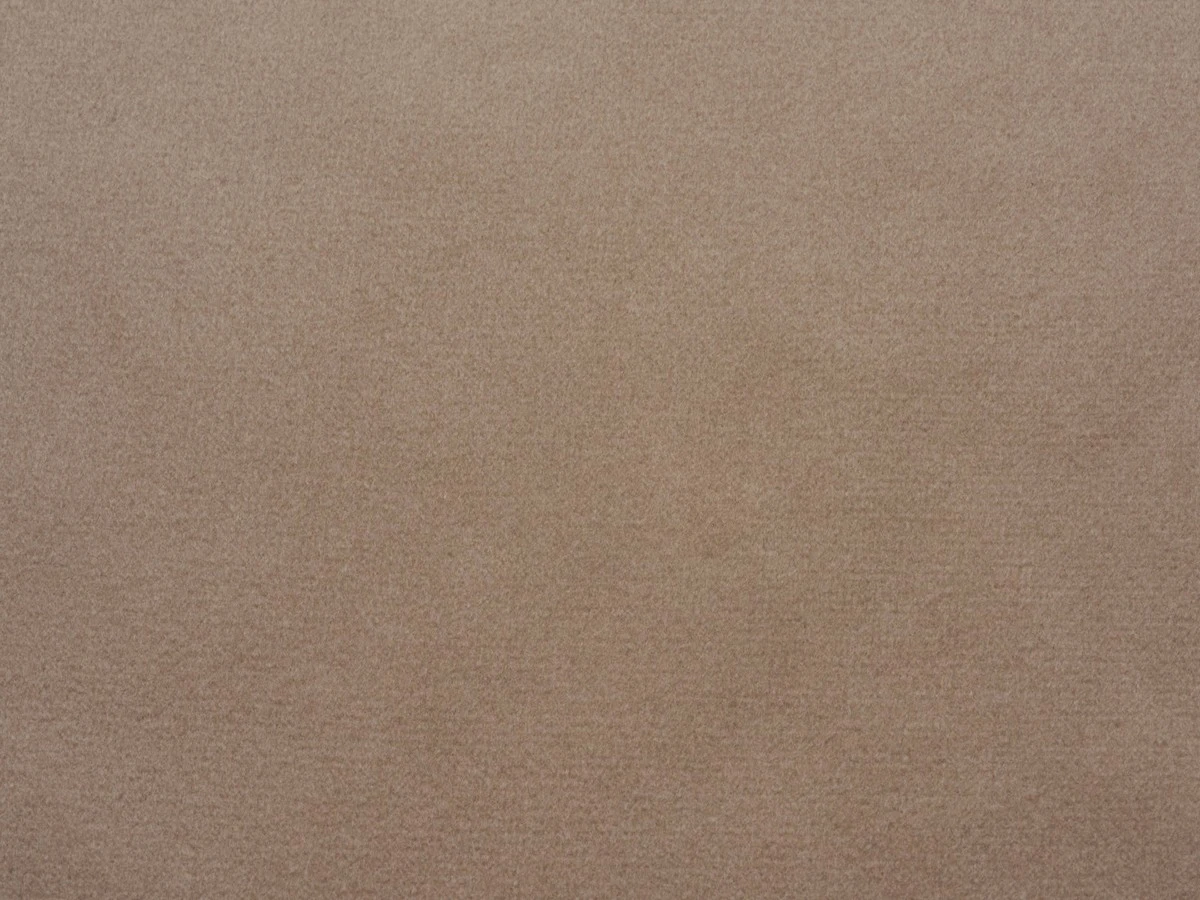 Bagheera (Багіра) 06 UNFUSSY BEIGE 