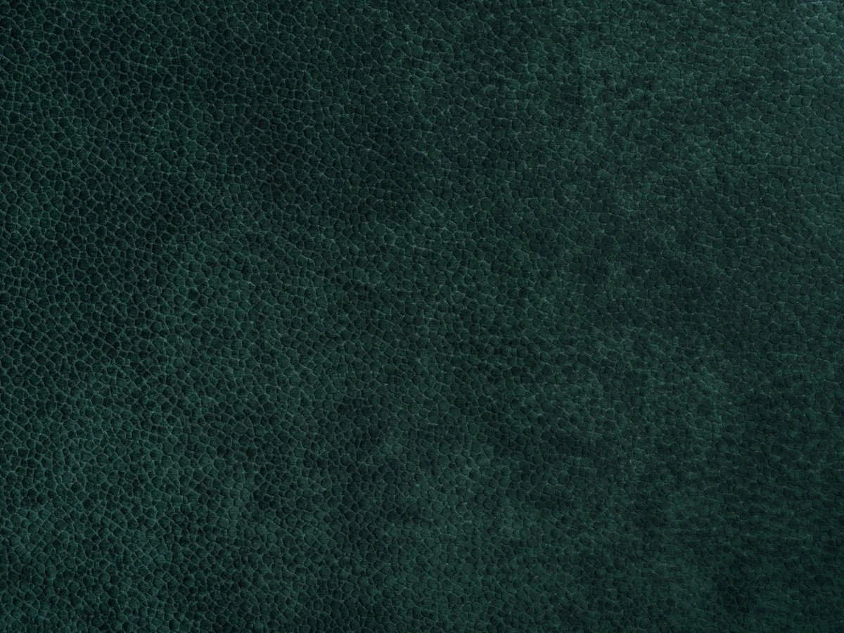 Edelvace small (Эдельвейс Смол) 37 Темно-зеленый 