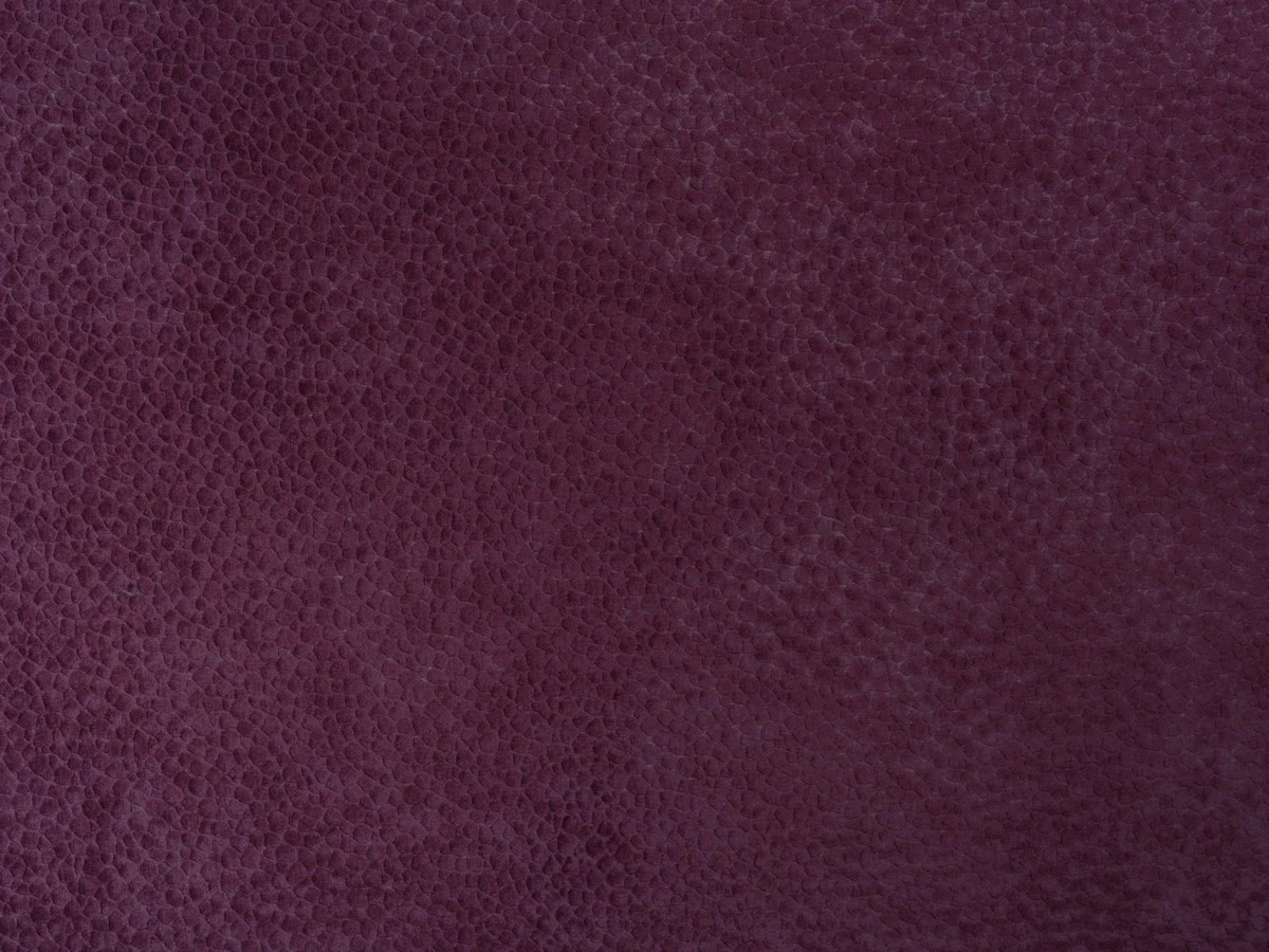 Edelvace small (Эдельвейс Смол) 66 Фиолетовый 