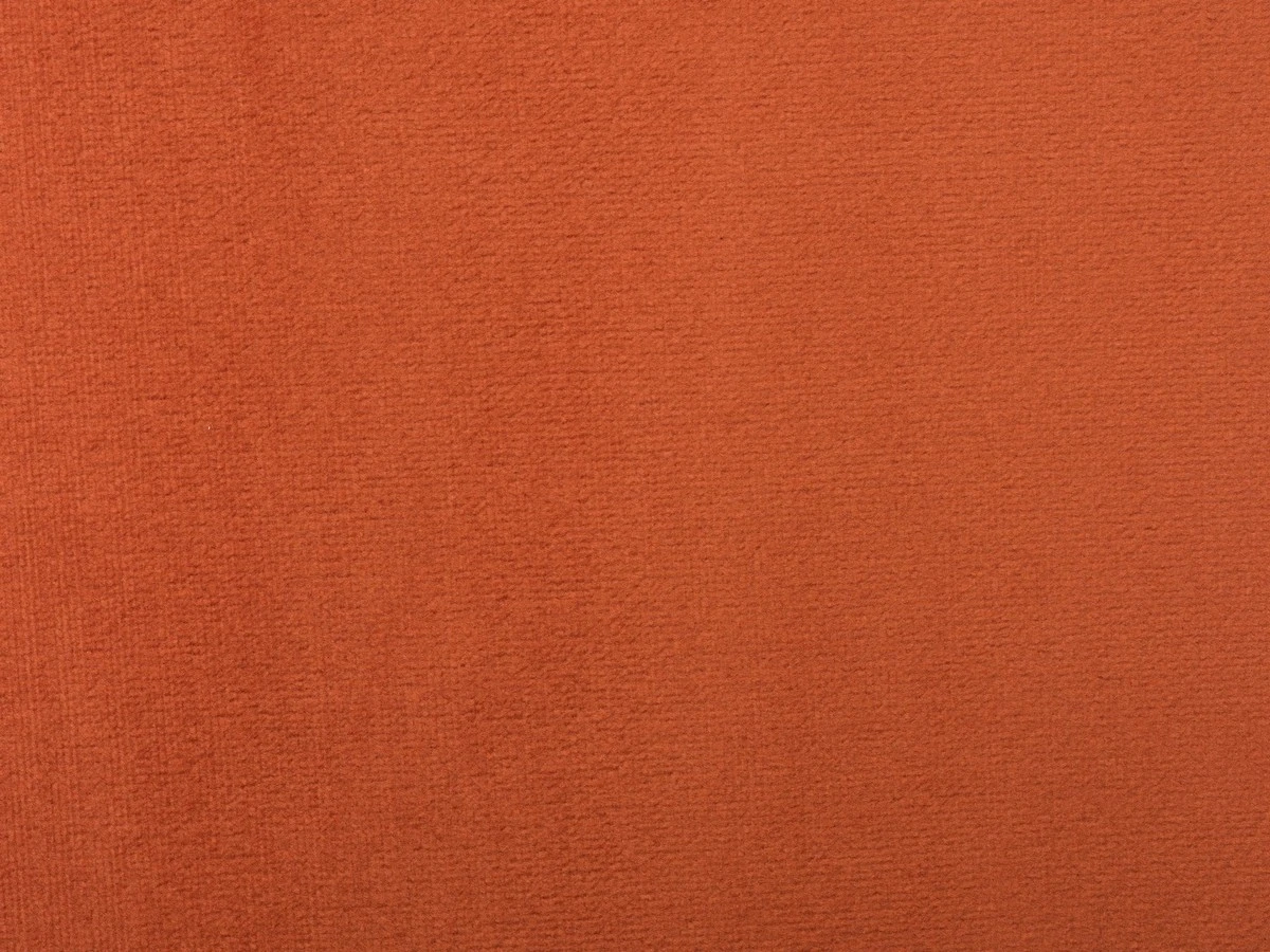 Bagheera (Багіра) 38 CARROT 