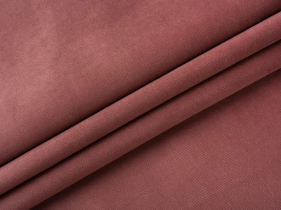 Bagheera (Багіра) 40 CANYON ROSE