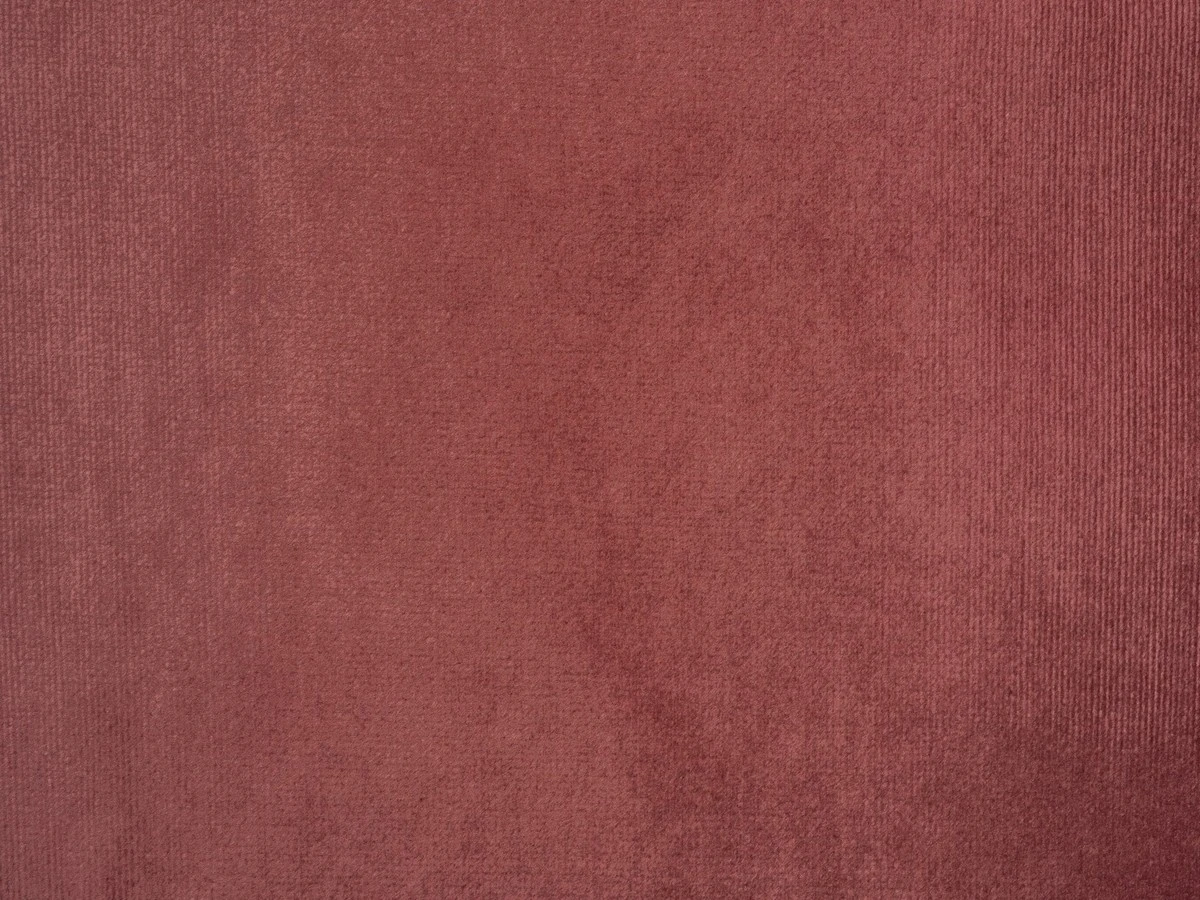 Bagheera (Багіра) 40 CANYON ROSE 