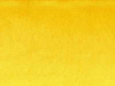 Laguna (Лагуна) 19 Темно-жовтий