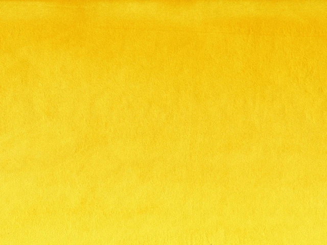 Laguna (Лагуна) 19 Темно-жовтий 