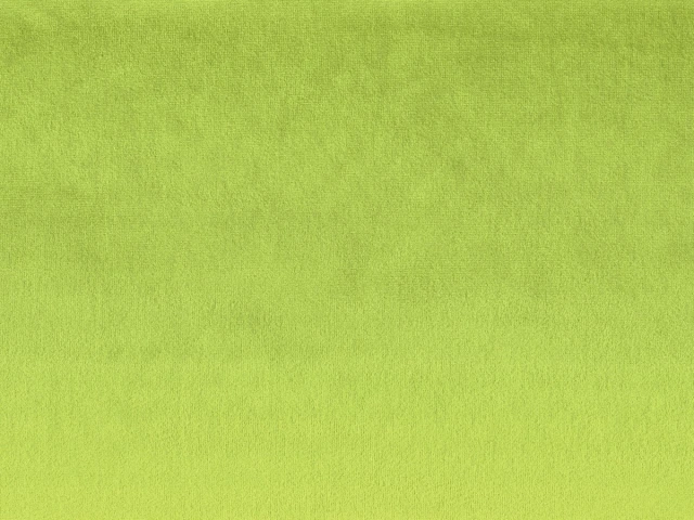 Laguna (Лагуна) 20 