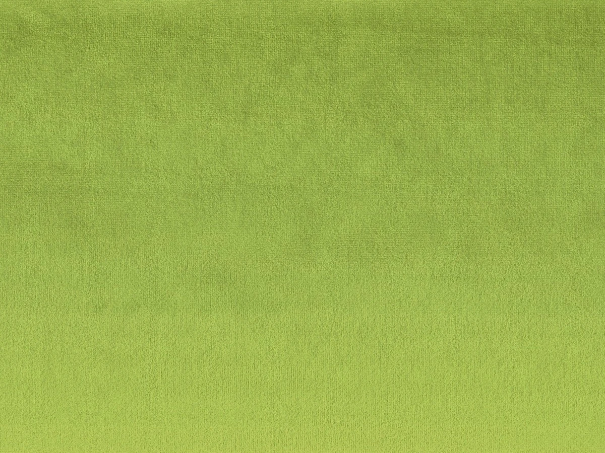 Laguna (Лагуна) 21 Салатовый 