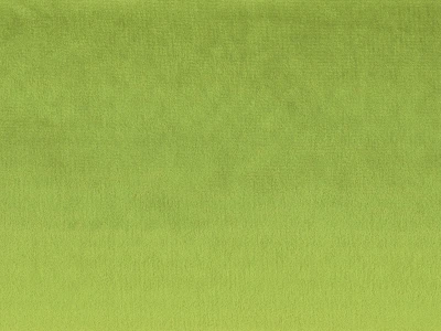 Laguna (Лагуна) 21 Салатовий