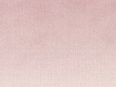 Laguna (Лагуна) 22 Рожевий