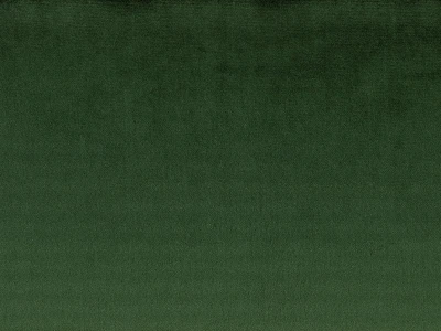 Laguna (Лагуна) 300 Темно-зелений