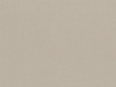 Matt Velvet (Мат вельвет) 06 Бежевий