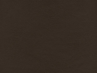 Lira (Ліра) 08 Темно-коричневий