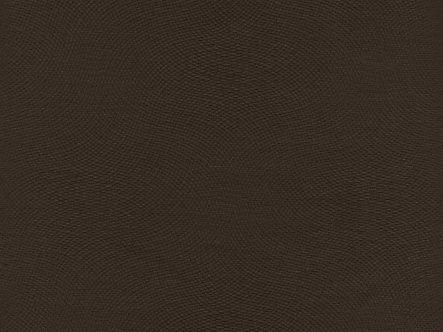 Lira (Ліра) 08 Темно-коричневий 