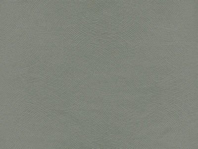 Lira (Ліра) 09 Сірий