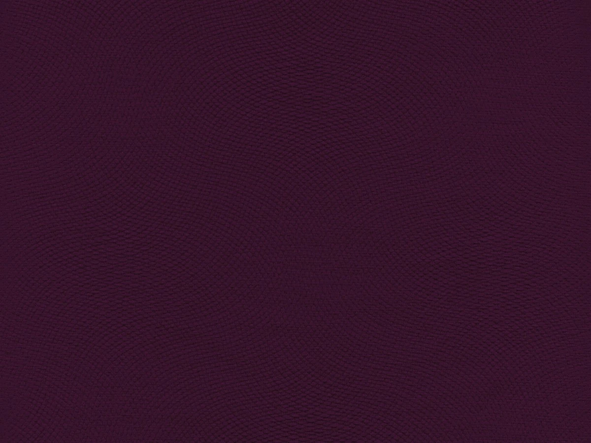 Lira (Ліра) 10 Темно-фіолетовий 