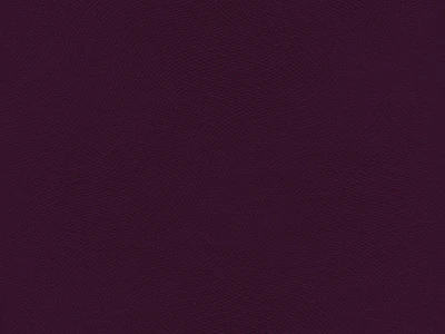 Lira (Ліра) 10 Темно-фіолетовий