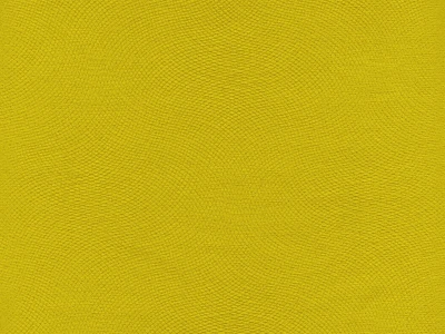 Lira (Ліра) 13 Жовтий