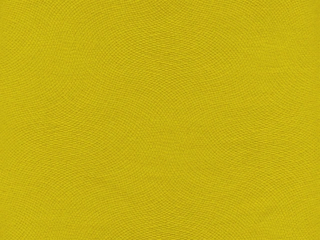 Lira (Ліра) 13 Жовтий 