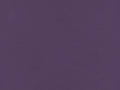 Lira (Ліра) 16 Фіолетовий