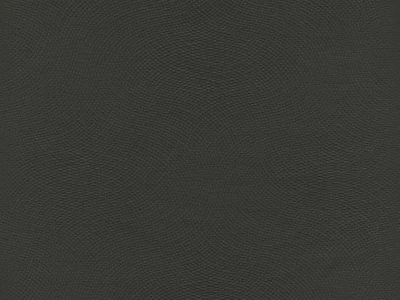 Lira (Ліра) 18 Темно-сірий