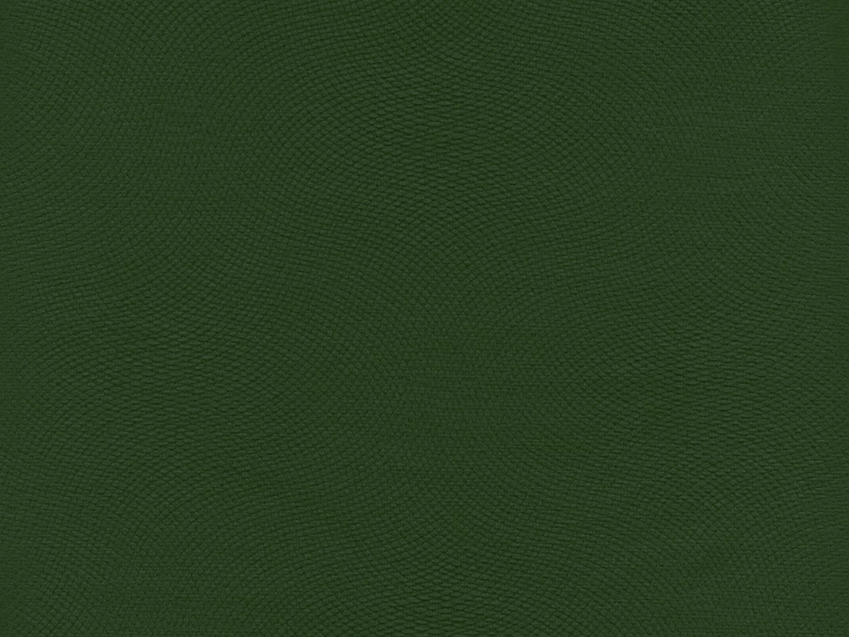 Lira (Ліра) 27 Зелений 