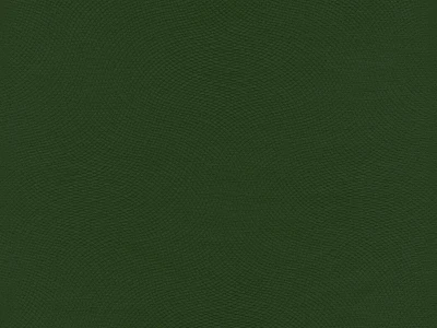 Lira (Ліра) 27 Зелений