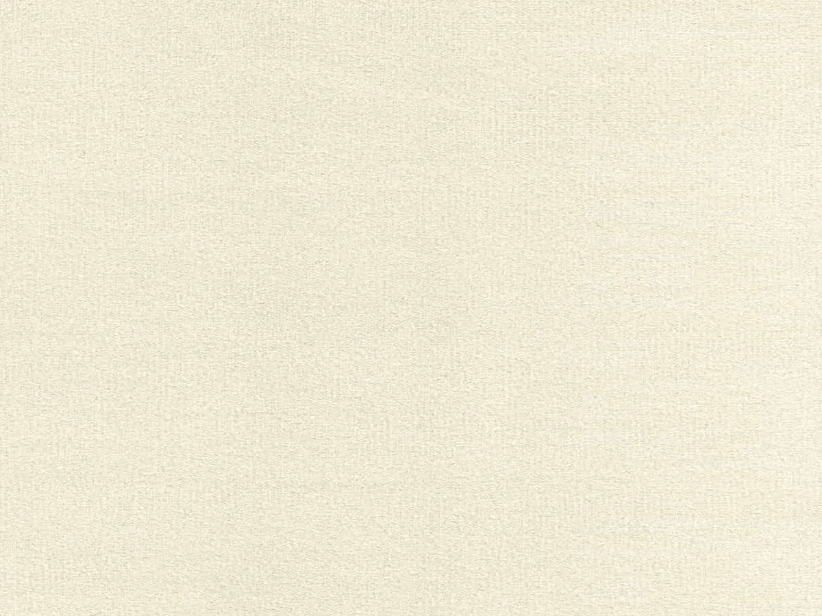 Steam (Стим) 2 Бежевый 