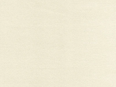 Steam (Стим) 2 Бежевый