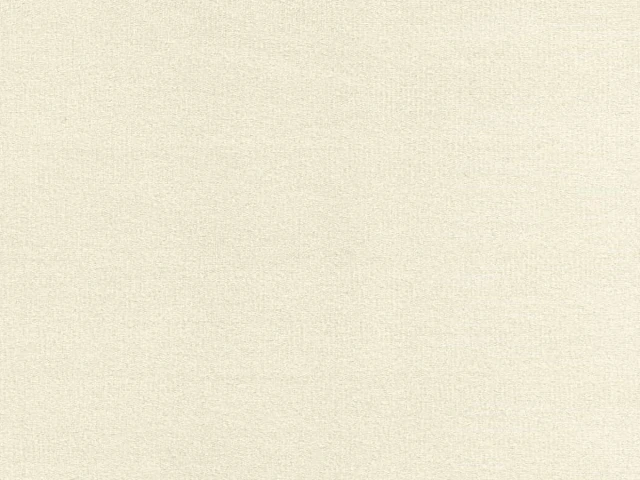 Steam (Стим) 2 Бежевый 