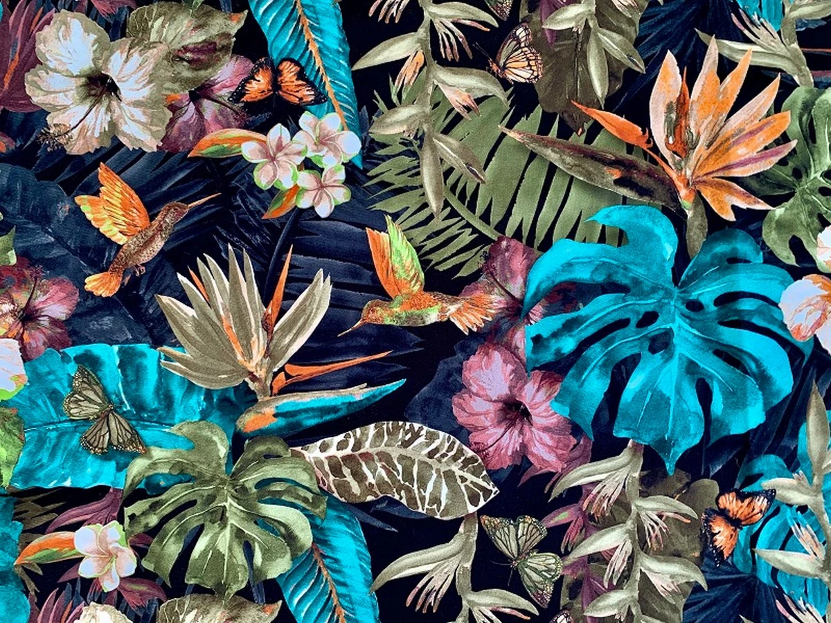 Asteria (Астерія) D 2 