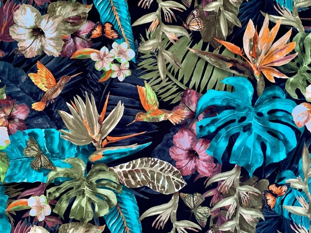 Asteria (Астерія) D 2 