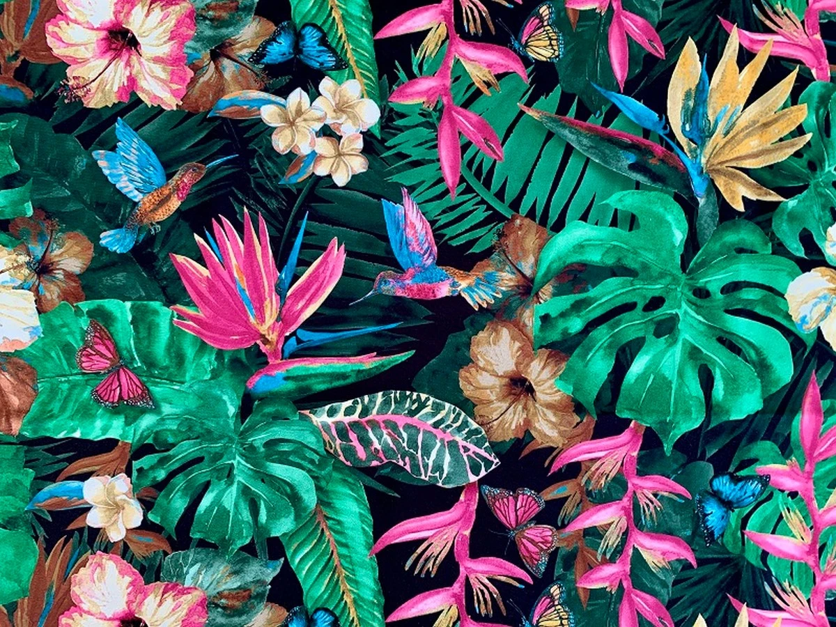 Asteria (Астерія) D 3 