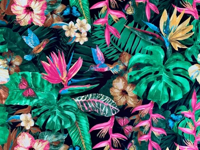 Asteria (Астерія)  D 3