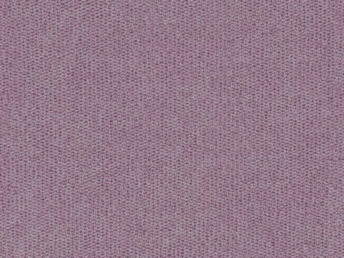 Moon (Мун) Orchid 