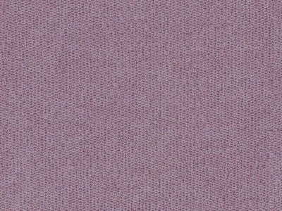 Moon (Мун) Orchid