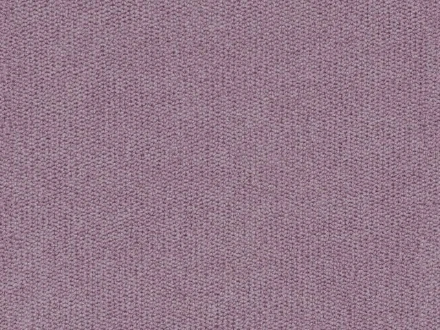 Moon (Мун) Orchid 