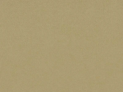 New York (Нью Йорк) Caramel