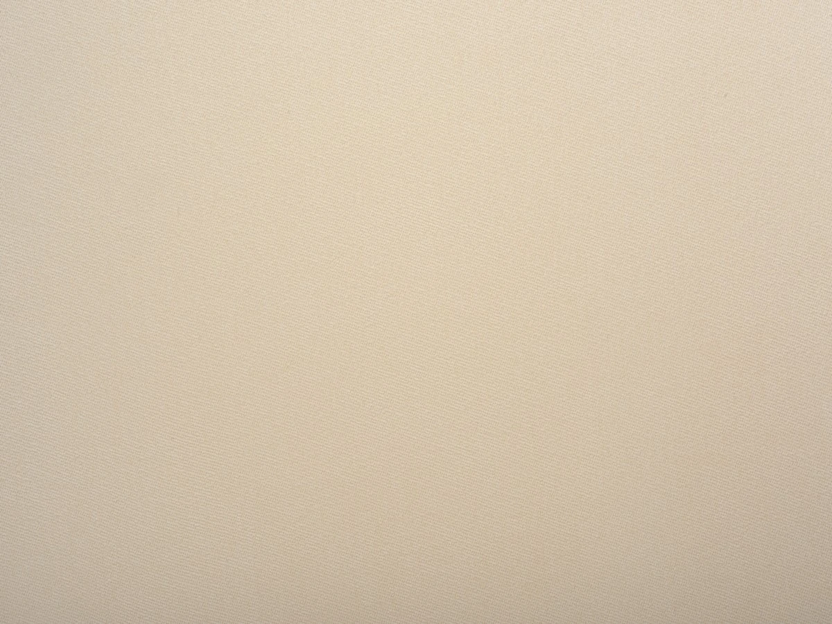 Balaton (Балатон) 02 Світло-бежевий 