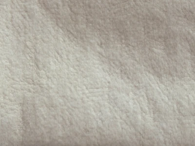 Pola (Пола) 17 Світло-бежевий