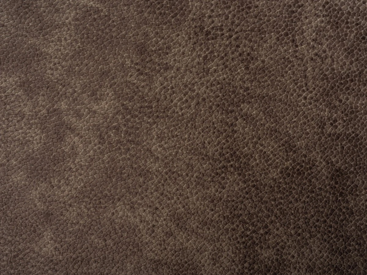 Edelvace small (Эдельвейс Смол) 25 Коричневый 