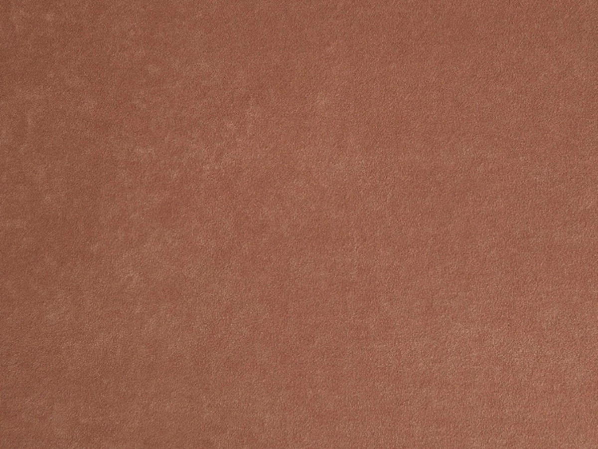 Nessi (Нессі) 13 Apricot 