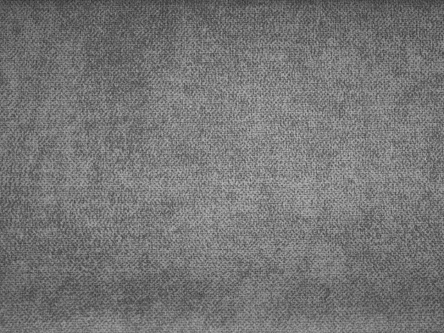 Salvia (Сальвія) 97 Сірий 