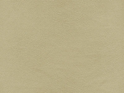 Lira (Ліра) 03 Бежевий